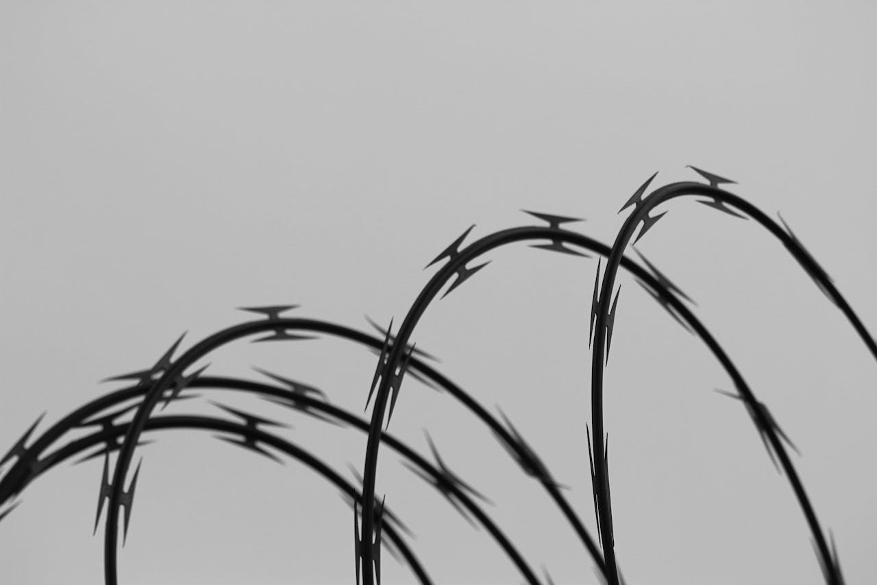 Sharp barbed wire coil against a light, minimalist background with strong visual lines.